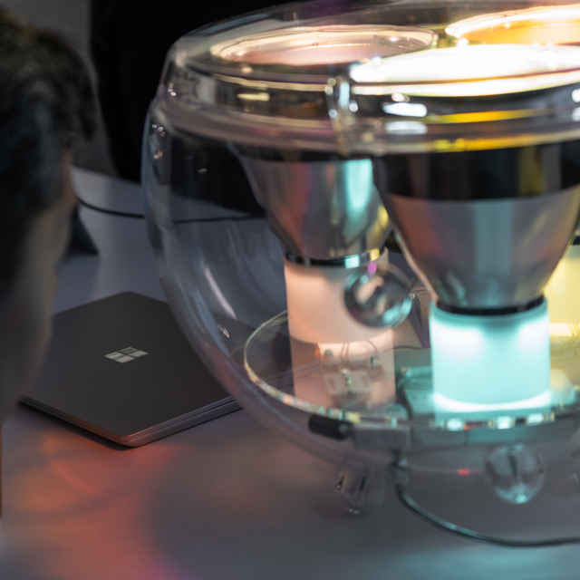 Image of the Yang lamp.