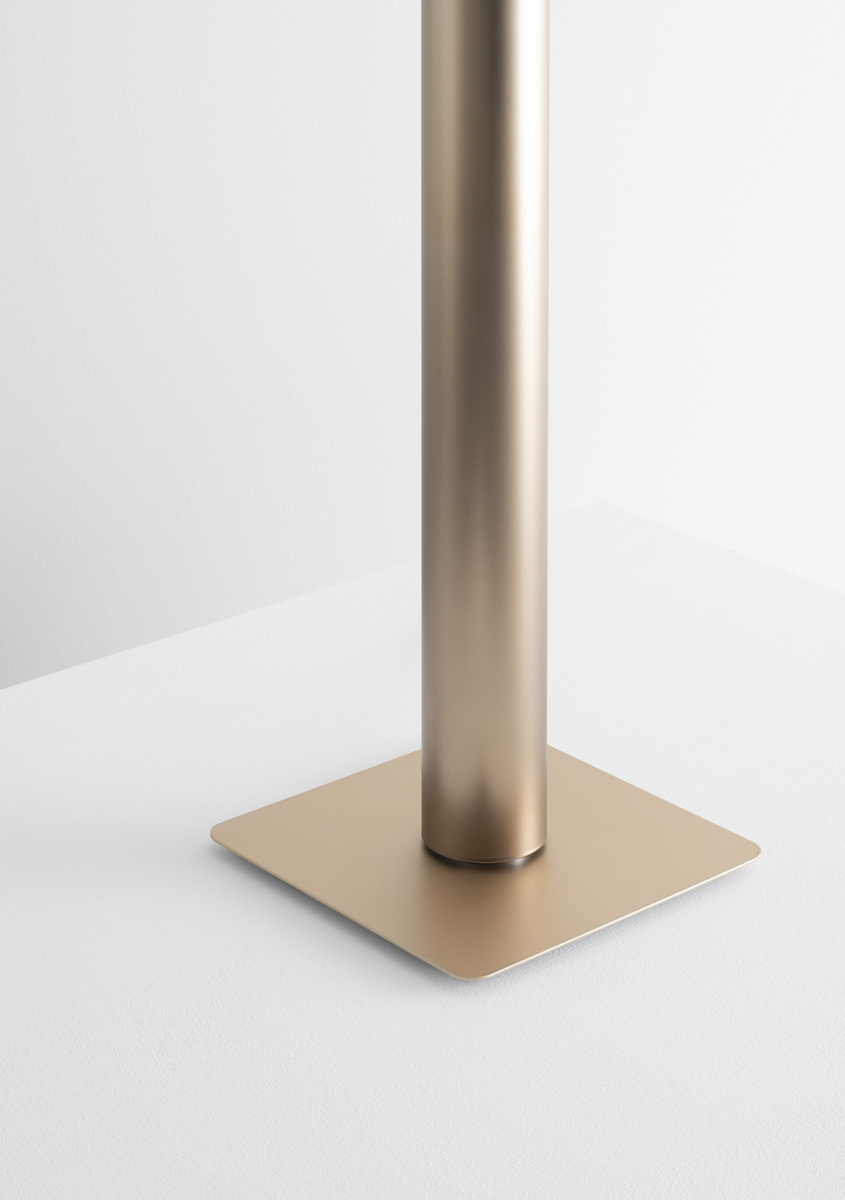 Image of the base of the ilio.