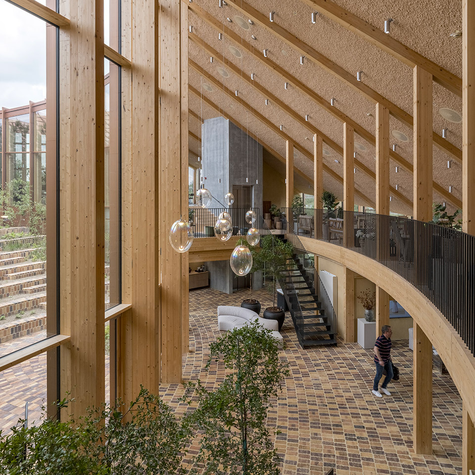 Atrium view featuring Stellar Nebula pendants integrated into the timber architecture.