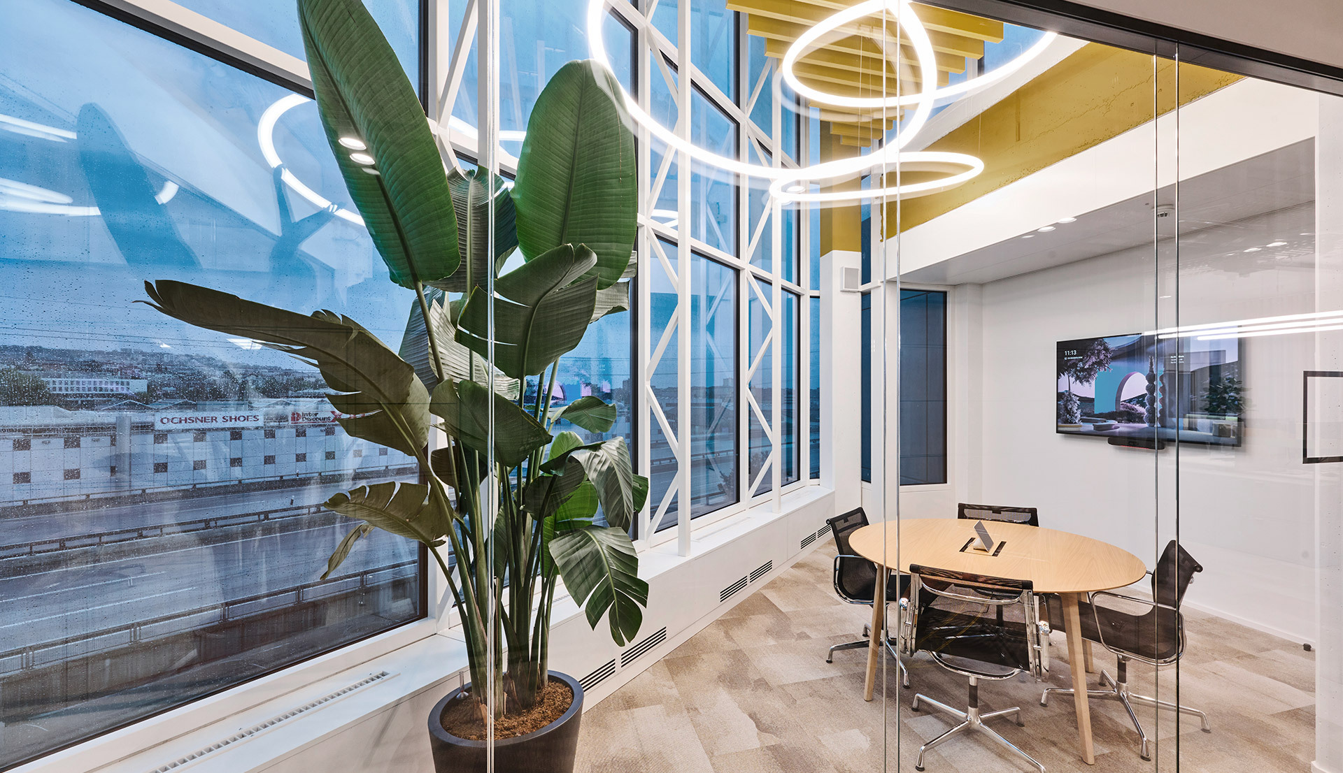 Meeting room with large windows, decorative plant, and Alphabet of Light ring lamp on the ceiling.