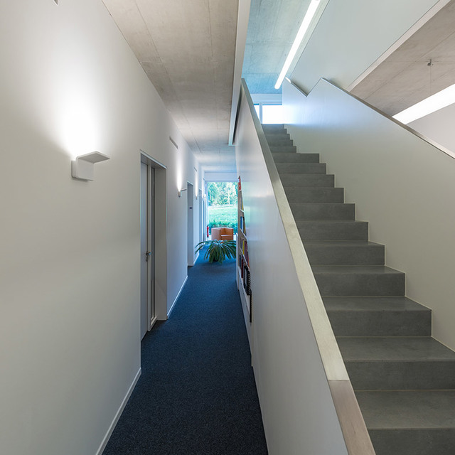 Modern corridor with blue carpet, concrete staircase, and Artemide wall sconce providing soft upward light on white wall.
