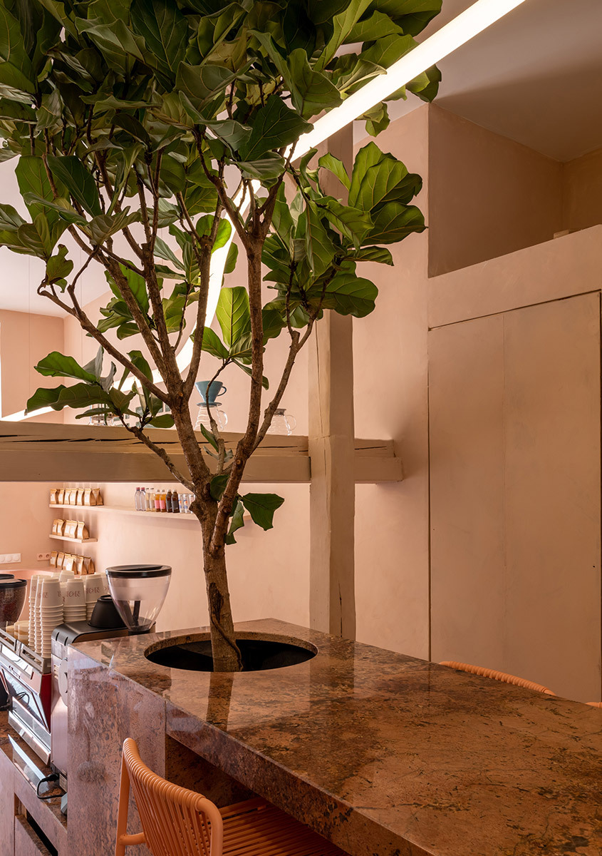 Image of the interior of Noir Coffee Shop with Alphabet of Light